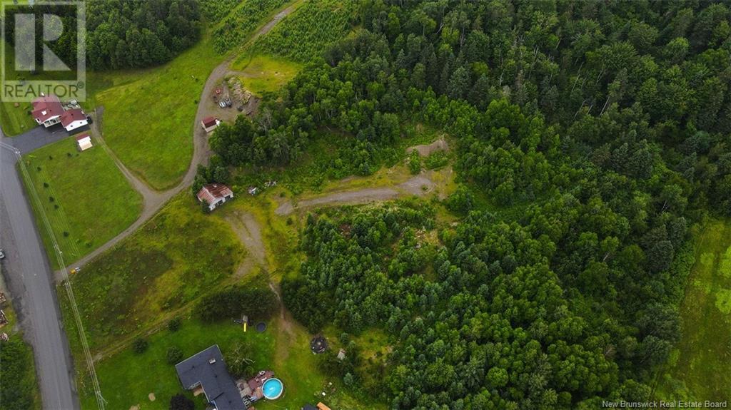 Lot Route 205 Road, Saint-François-De-Madawaska, New Brunswick E7A 1Y2 - Photo 8 - NB122473