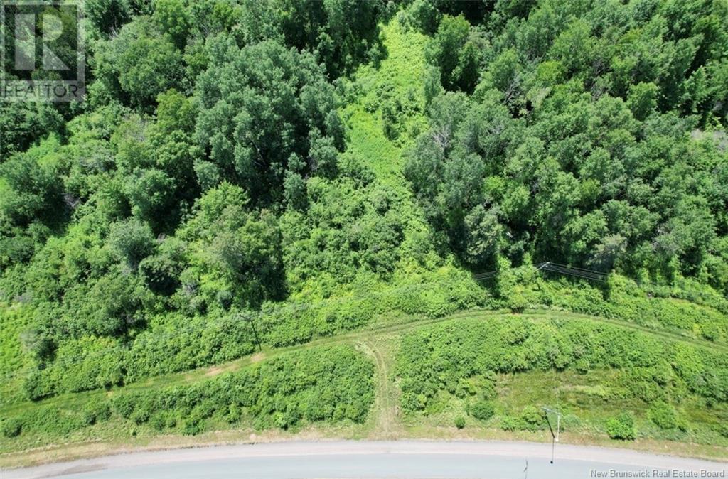 Route 180, South Tetagouche, New Brunswick  E2A 7E9 - Photo 12 - NB122577