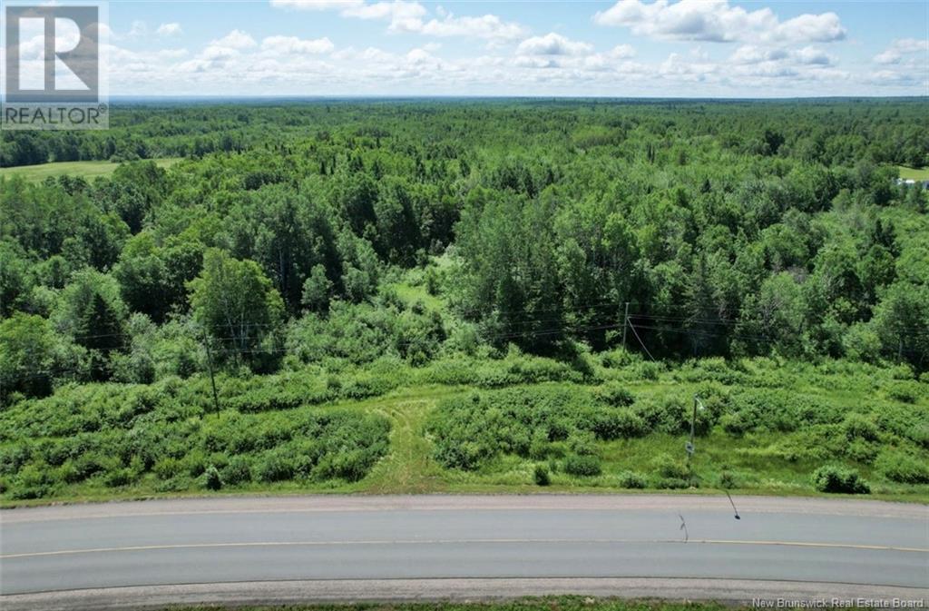 Route 180, South Tetagouche, New Brunswick  E2A 7E9 - Photo 5 - NB122577