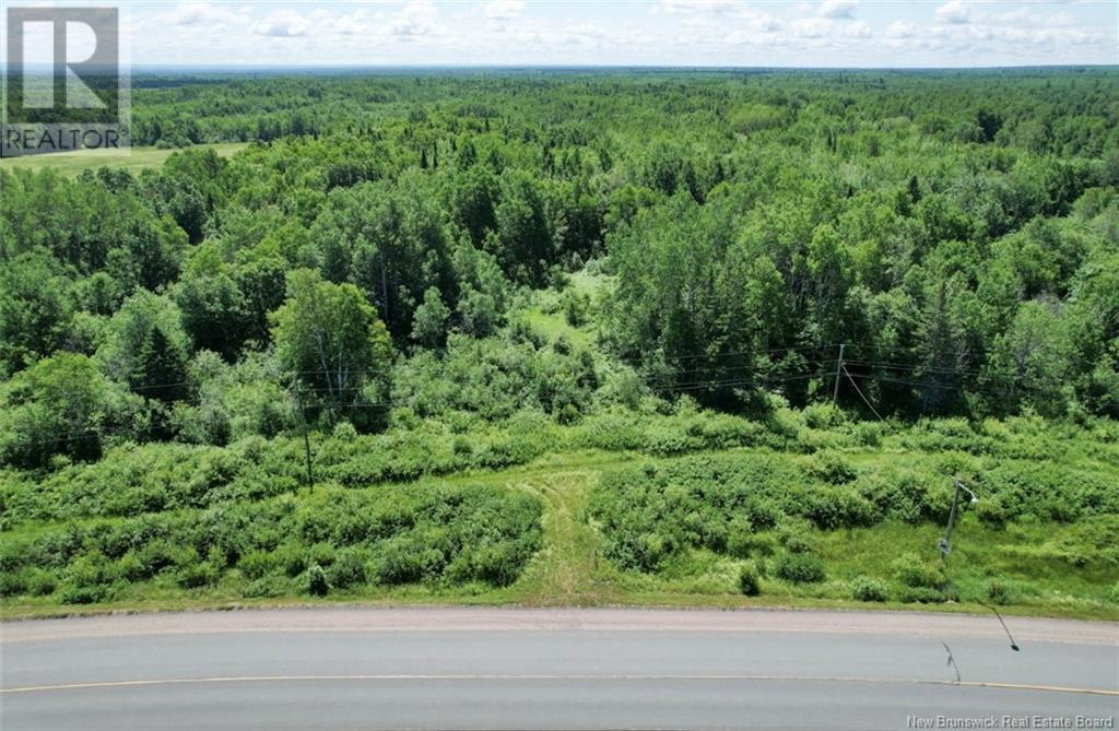 Route 180, South Tetagouche, New Brunswick  E2A 7E9 - Photo 8 - NB122577