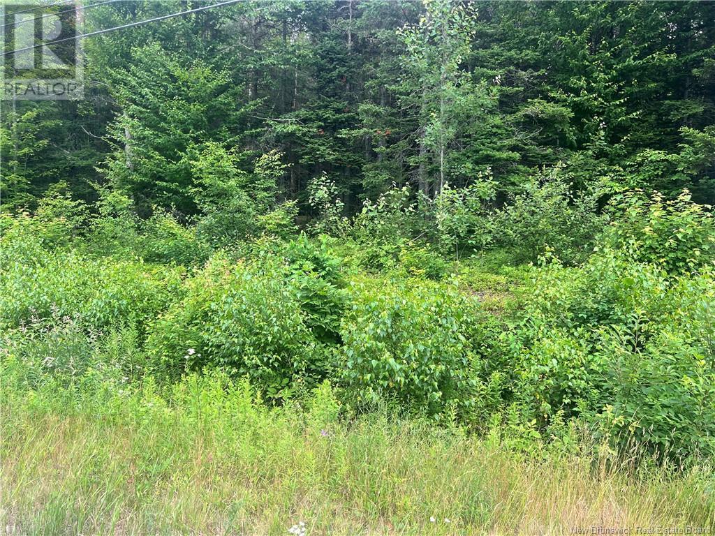 0 Route 127, Bayside, New Brunswick