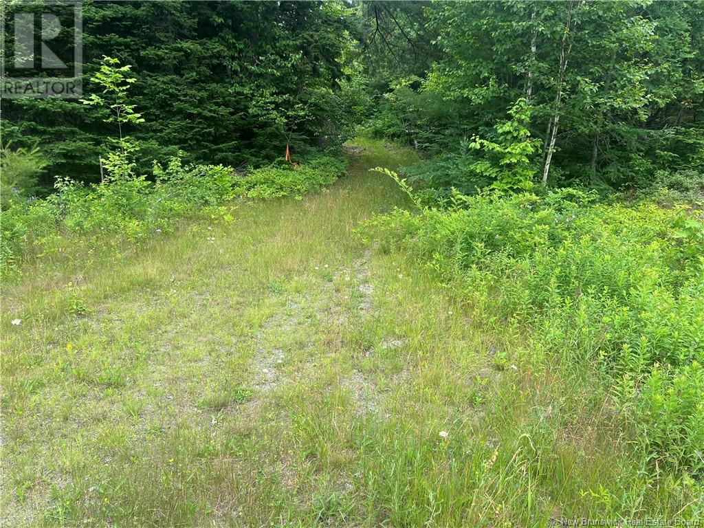 0 Route 127, Bayside, New Brunswick  E5B 2S4 - Photo 2 - NB122612