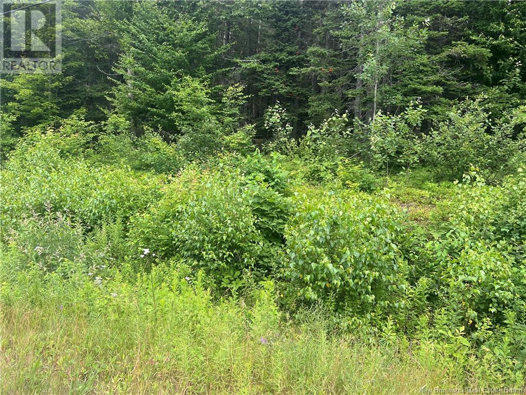 0 Route 127, Bayside, New Brunswick  E5B 2S4 - Photo 3 - NB122612