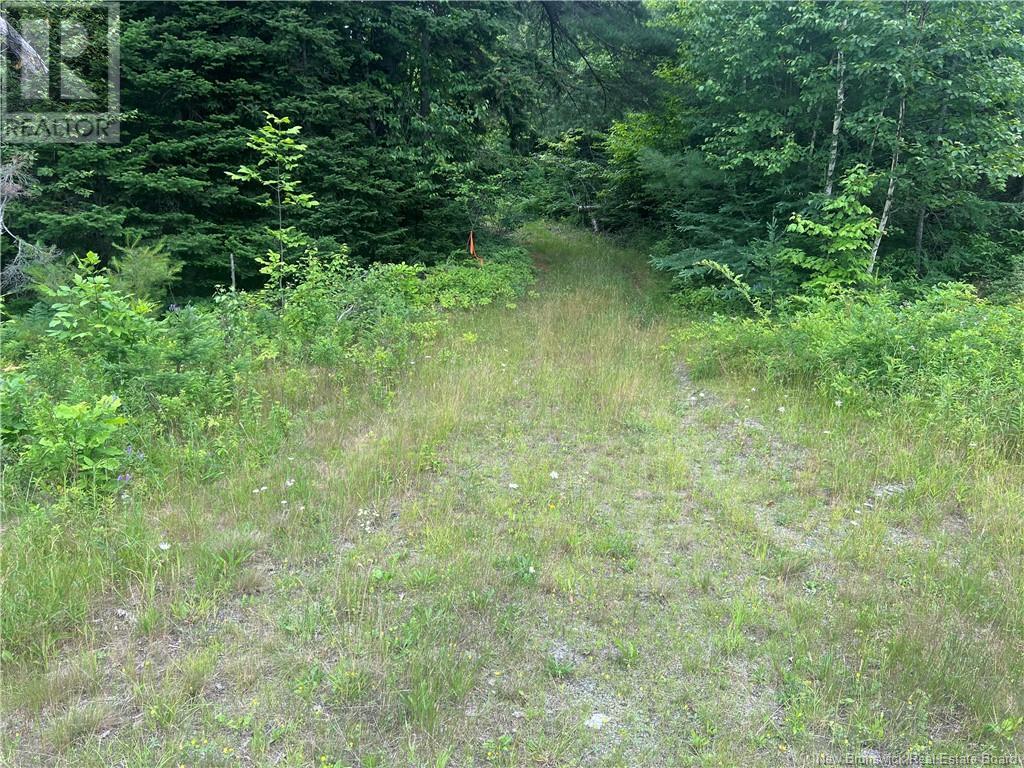 0 Route 127, Bayside, New Brunswick  E5B 2S4 - Photo 5 - NB122612