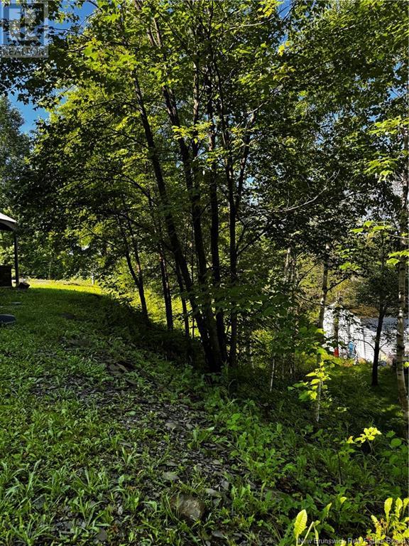 86 Des Ormes Avenue, Edmundston, New Brunswick E3V 4J9 - Photo 39 - NB122660