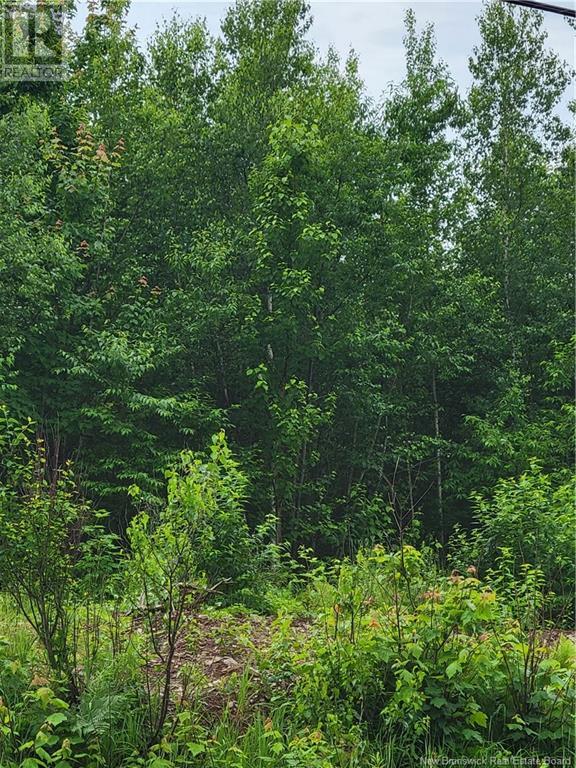 Lot 8 Route 10, Cumberland Bay, New Brunswick  E4A 3A3 - Photo 2 - NB122669