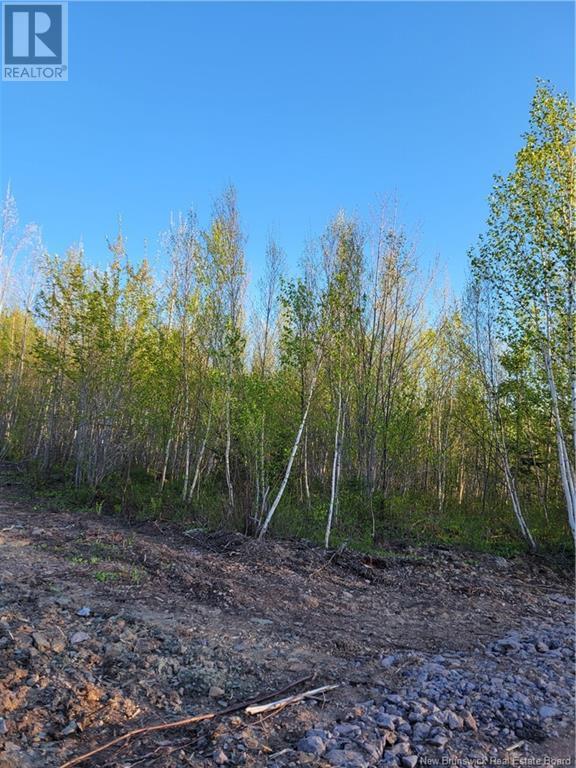 Lot 8 Route 10, Cumberland Bay, New Brunswick  E4A 3A3 - Photo 4 - NB122669