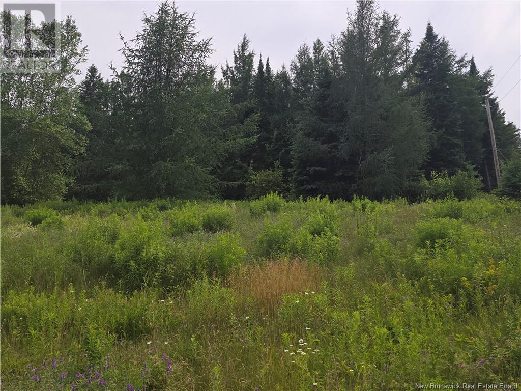 2360 Rte 118 Hwy, Mckinleyville, New Brunswick  E9E 2H5 - Photo 9 - NB122705