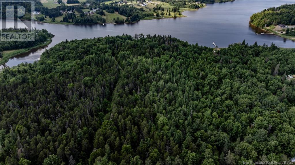 Vacant Lot Saint-Ignace, Saint-Louis-De-Kent, New Brunswick E4X 1Y2 - Photo 4 - NB122508