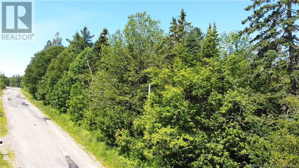 Lot 23-2 Harkness Road, Chamcook, New Brunswick  E5B 3E7 - Photo 8 - NB122533