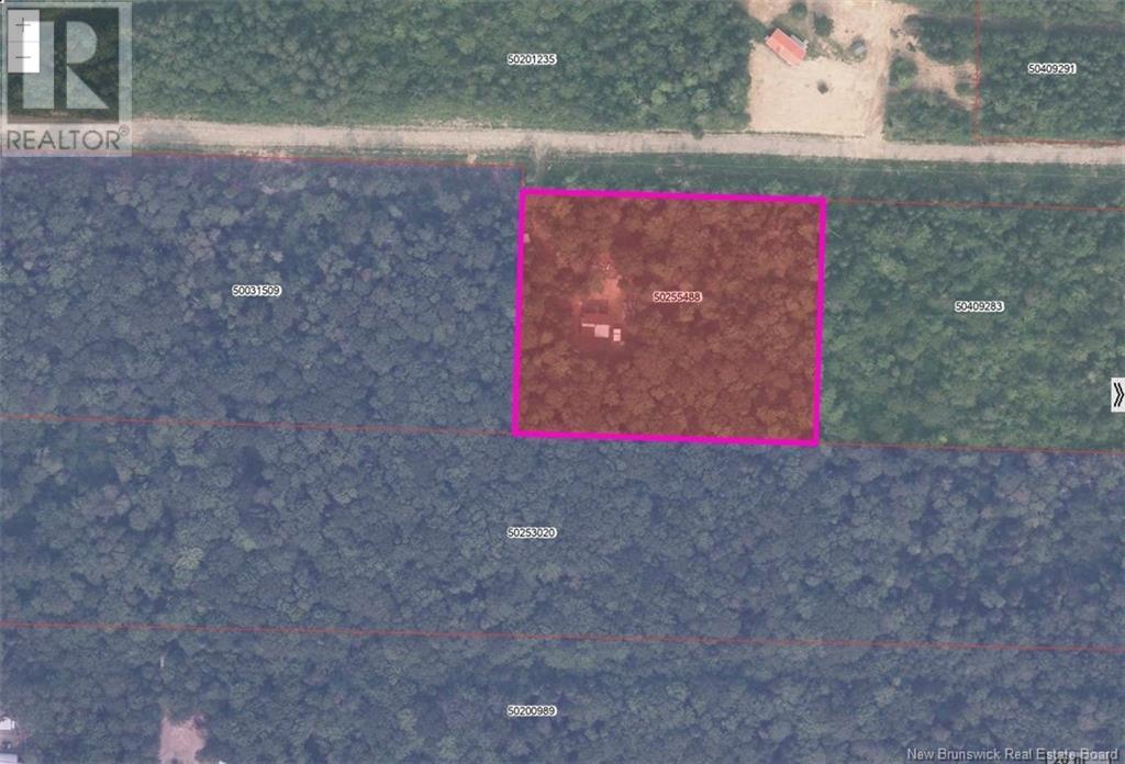 Lot Eva Road, Kedgwick, New Brunswick E8B 2C1 - Photo 7 - NB122613