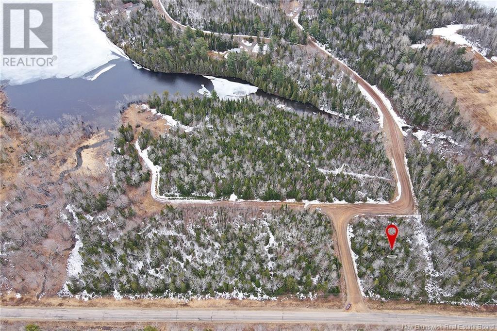 Rte 690 Libbeys Beach, Flowers Cove, New Brunswick  O0O 0O0 - Photo 8 - NB122889