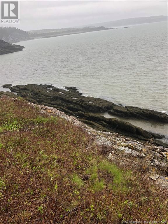 Lot Bay Of Fundy, Hwy. 825, Black River, New Brunswick  O0O 0O0 - Photo 6 - NB122768