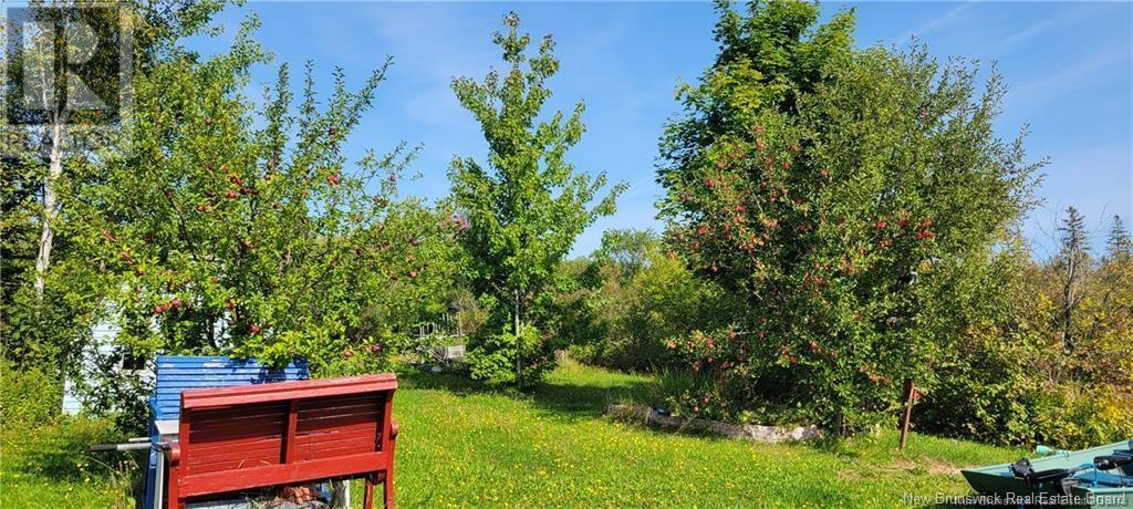 2803 Route 350, Rang-Saint-Georges, New Brunswick  E8R 1L1 - Photo 20 - NB122923