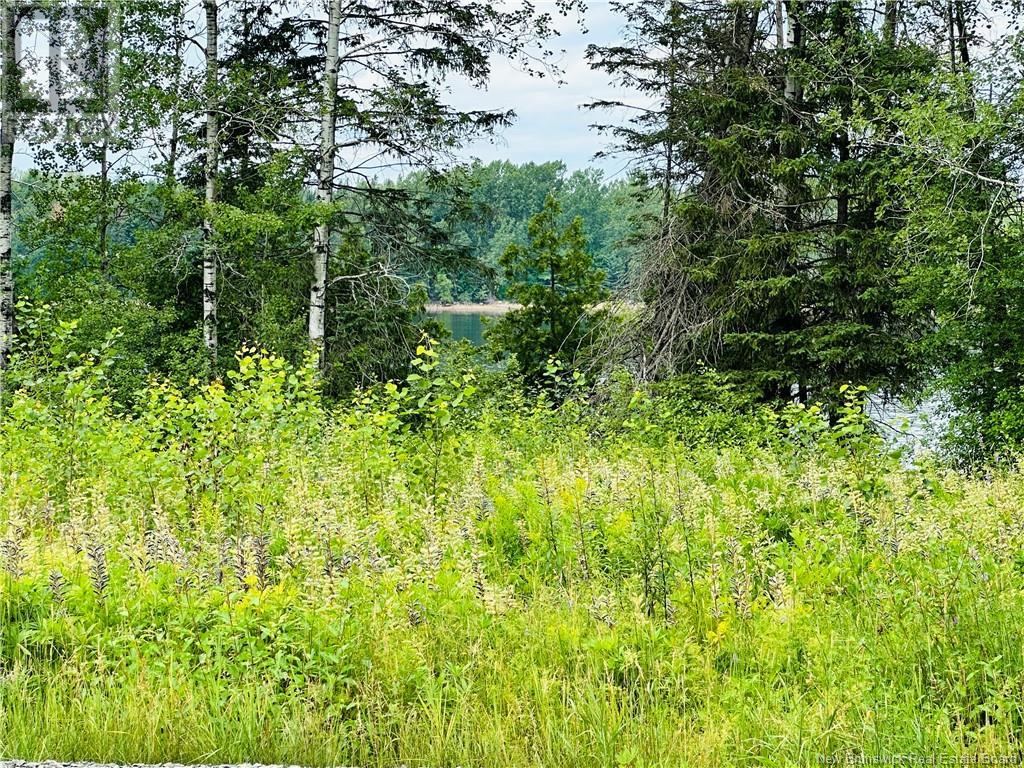 2328 Sq Mt Islandview Drive, Miramichi, New Brunswick  E1N 6B5 - Photo 2 - NB122950
