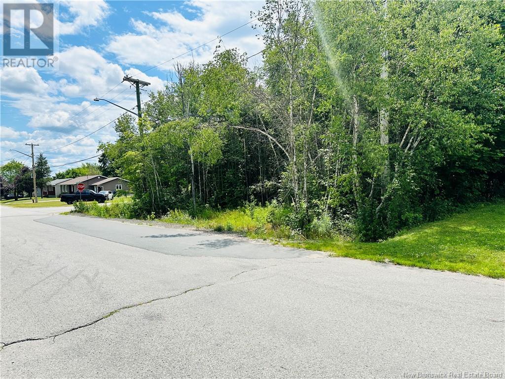 844 Sq Mt Carroll Street, Miramichi, New Brunswick E1V 6R3 - Photo 3 - NB122949