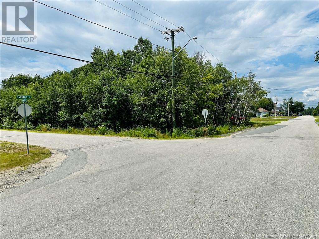 844 Sq Mt Carroll Street, Miramichi, New Brunswick E1V 6R3 - Photo 4 - NB122949