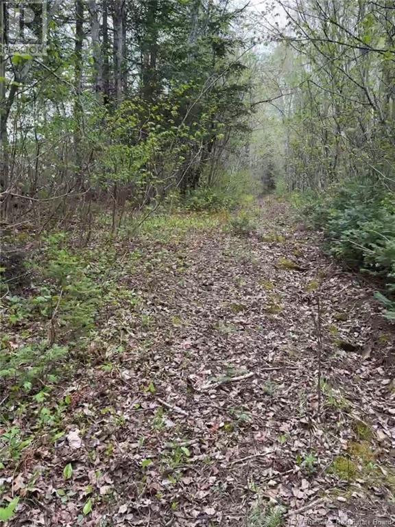 14 Acres Islandview Drive, Miramichi, New Brunswick  E1N 6B5 - Photo 2 - NB122938