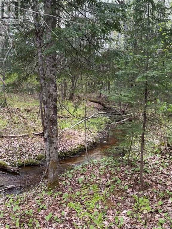 14 Acres Islandview Drive, Miramichi, New Brunswick  E1N 6B5 - Photo 3 - NB122938