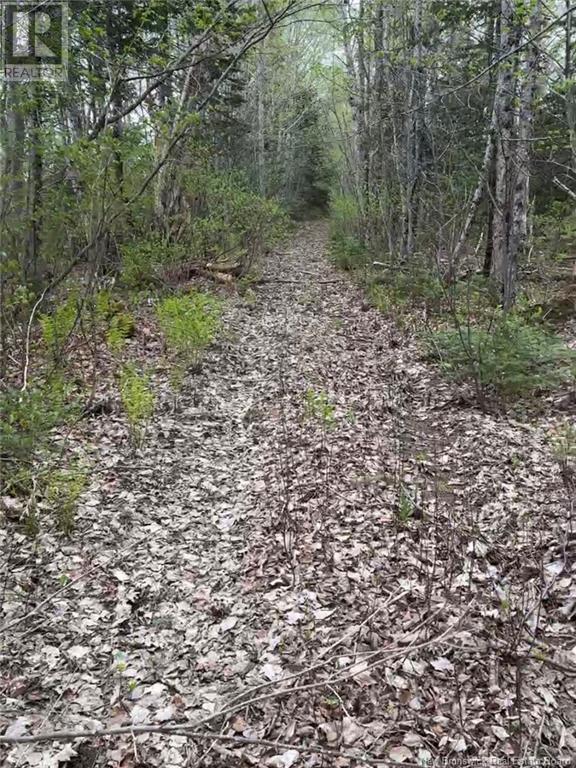 14 Acres Islandview Drive, Miramichi, New Brunswick  E1N 6B5 - Photo 5 - NB122938