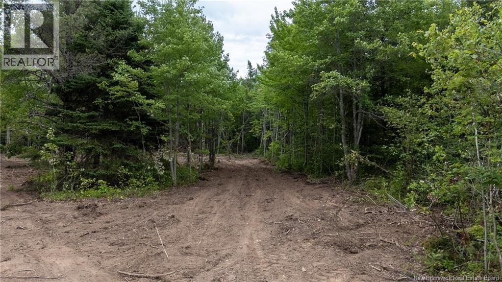 Lot Route 126, Birch Ridge, New Brunswick  E4T 2B9 - Photo 10 - NB122943