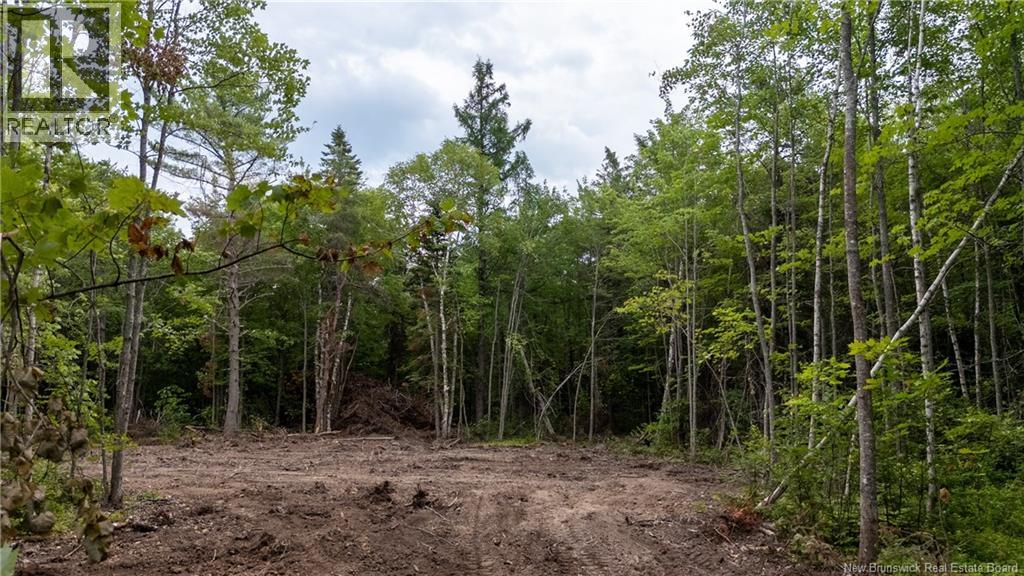Lot Route 126, Birch Ridge, New Brunswick  E4T 2B9 - Photo 11 - NB122943