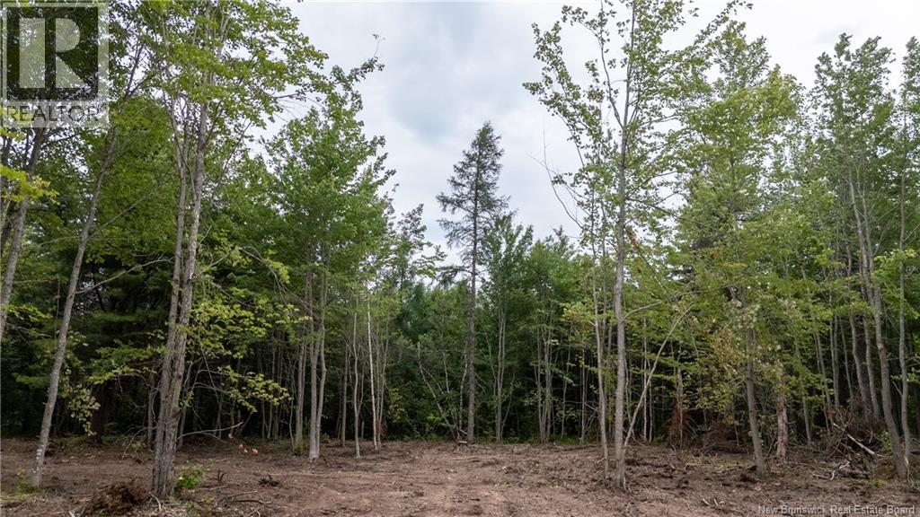 Lot Route 126, Birch Ridge, New Brunswick  E4T 2B9 - Photo 12 - NB122943