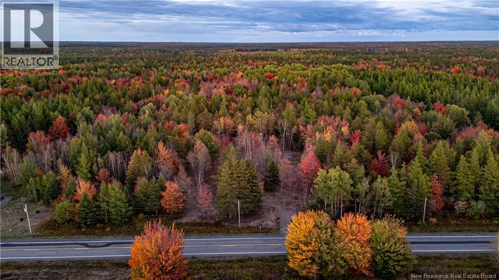 Lot Route 126, Birch Ridge, New Brunswick  E4T 2B9 - Photo 13 - NB122943