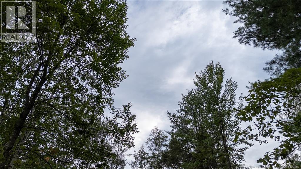 Lot Route 126, Birch Ridge, New Brunswick  E4T 2B9 - Photo 14 - NB122943