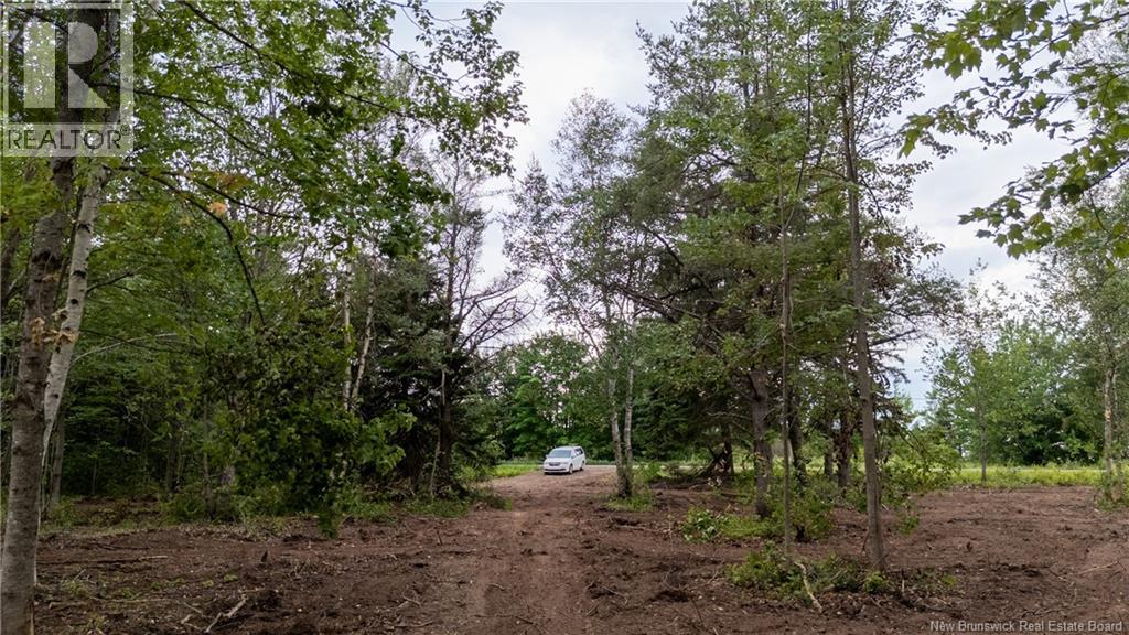 Lot Route 126, Birch Ridge, New Brunswick  E4T 2B9 - Photo 16 - NB122943