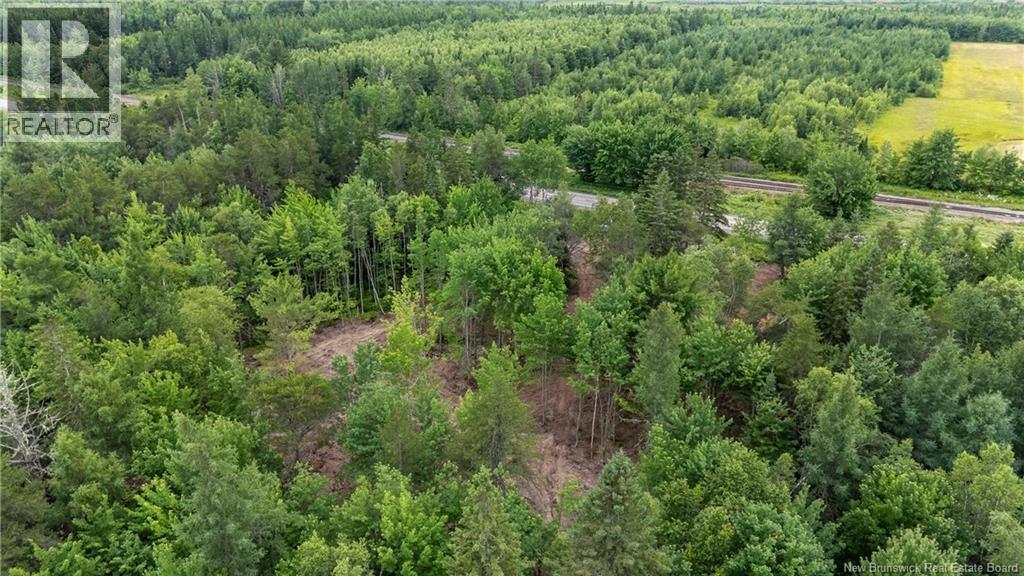 Lot Route 126, Birch Ridge, New Brunswick  E4T 2B9 - Photo 19 - NB122943