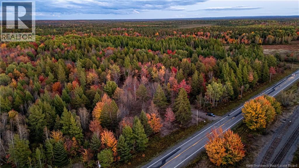 Lot Route 126, Birch Ridge, New Brunswick  E4T 2B9 - Photo 20 - NB122943