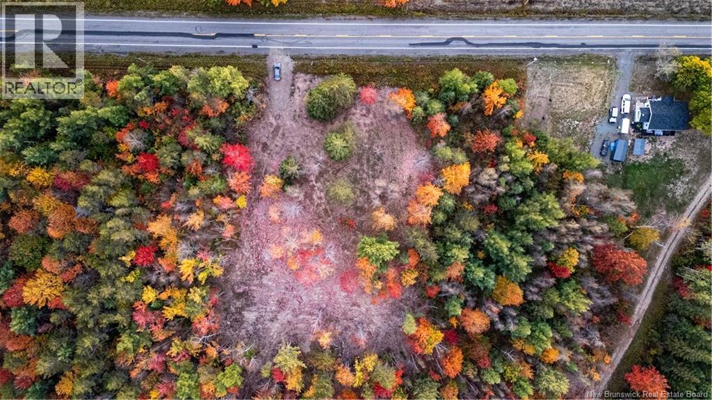 Lot Route 126, Birch Ridge, New Brunswick  E4T 2B9 - Photo 22 - NB122943