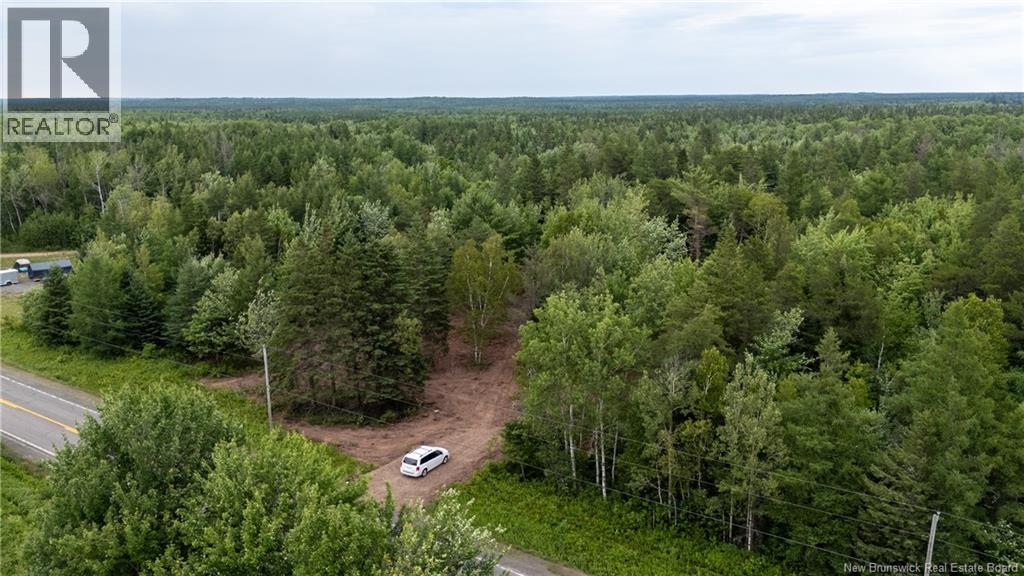 Lot Route 126, Birch Ridge, New Brunswick  E4T 2B9 - Photo 24 - NB122943