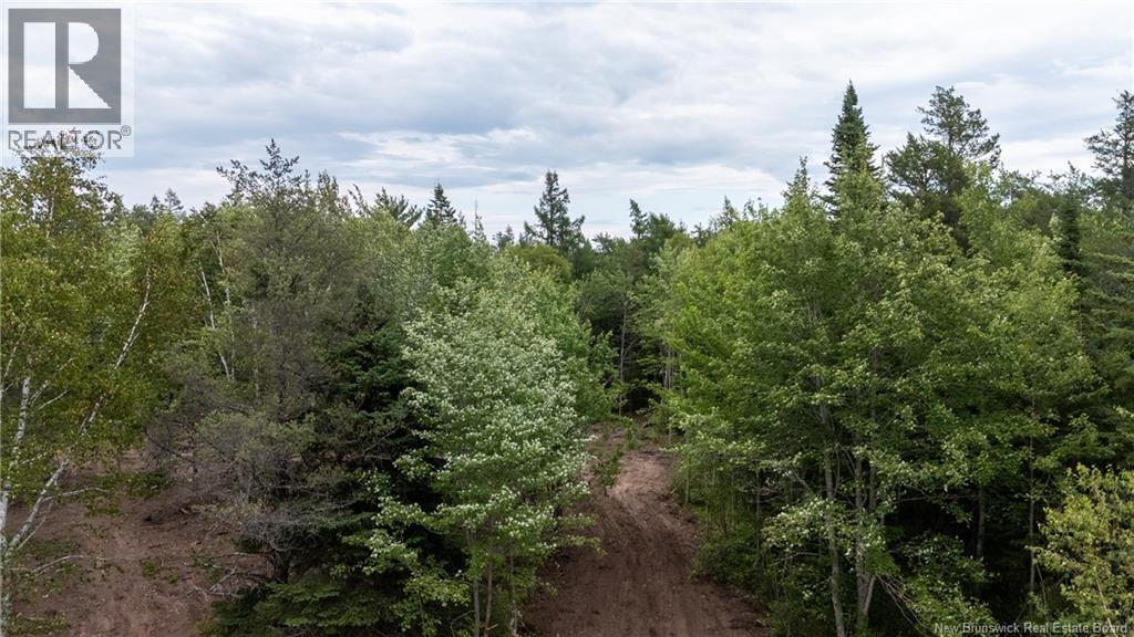 Lot Route 126, Birch Ridge, New Brunswick  E4T 2B9 - Photo 26 - NB122943