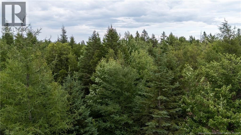 Lot Route 126, Birch Ridge, New Brunswick  E4T 2B9 - Photo 27 - NB122943