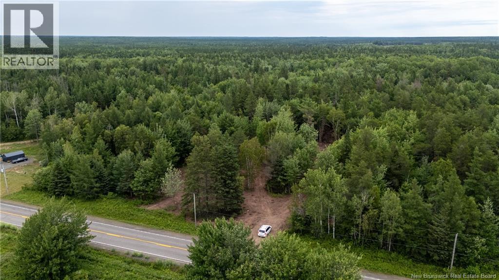 Lot Route 126, Birch Ridge, New Brunswick  E4T 2B9 - Photo 30 - NB122943