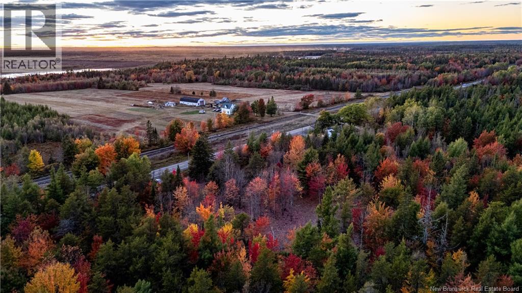 Lot Route 126, Birch Ridge, New Brunswick  E4T 2B9 - Photo 4 - NB122943