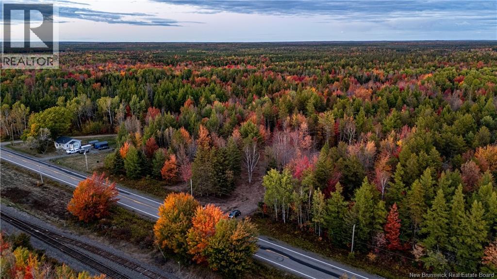 Lot Route 126, Birch Ridge, New Brunswick  E4T 2B9 - Photo 40 - NB122943