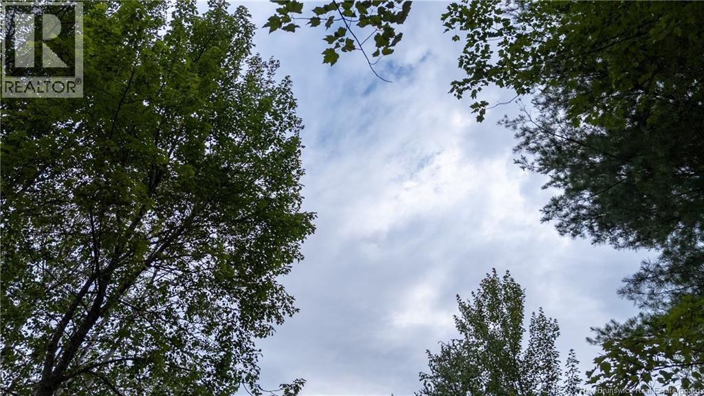 Lot Route 126, Birch Ridge, New Brunswick  E4T 2B9 - Photo 5 - NB122943