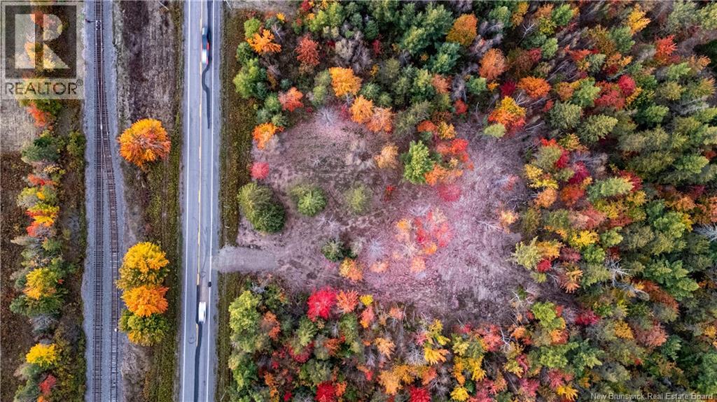 Lot Route 126, Birch Ridge, New Brunswick  E4T 2B9 - Photo 6 - NB122943