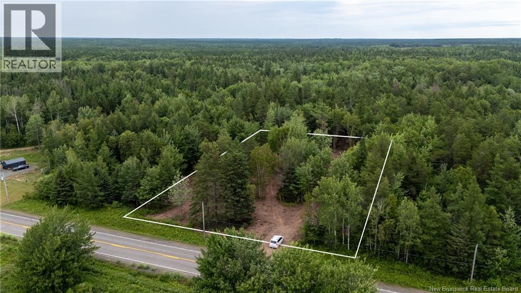 Lot Route 126, Birch Ridge, New Brunswick  E4T 2B9 - Photo 8 - NB122943