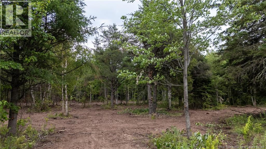 Lot Route 126, Birch Ridge, New Brunswick  E4T 2B9 - Photo 9 - NB122943
