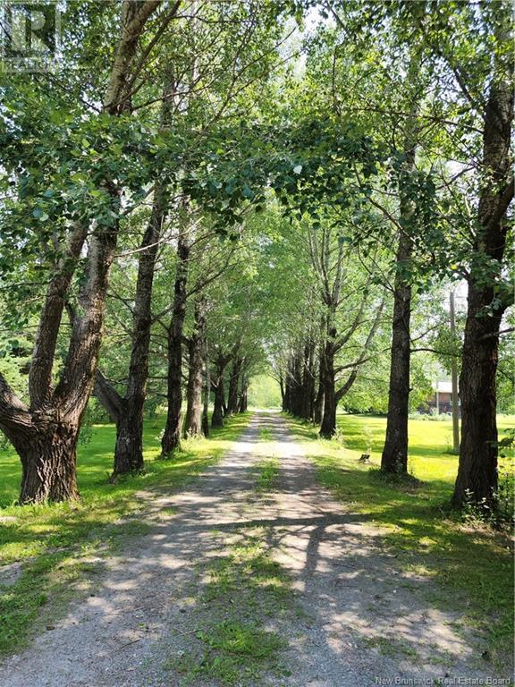 1064 Baisley Road, Saint-Jacques, New Brunswick  E7B 2A3 - Photo 49 - NB122879