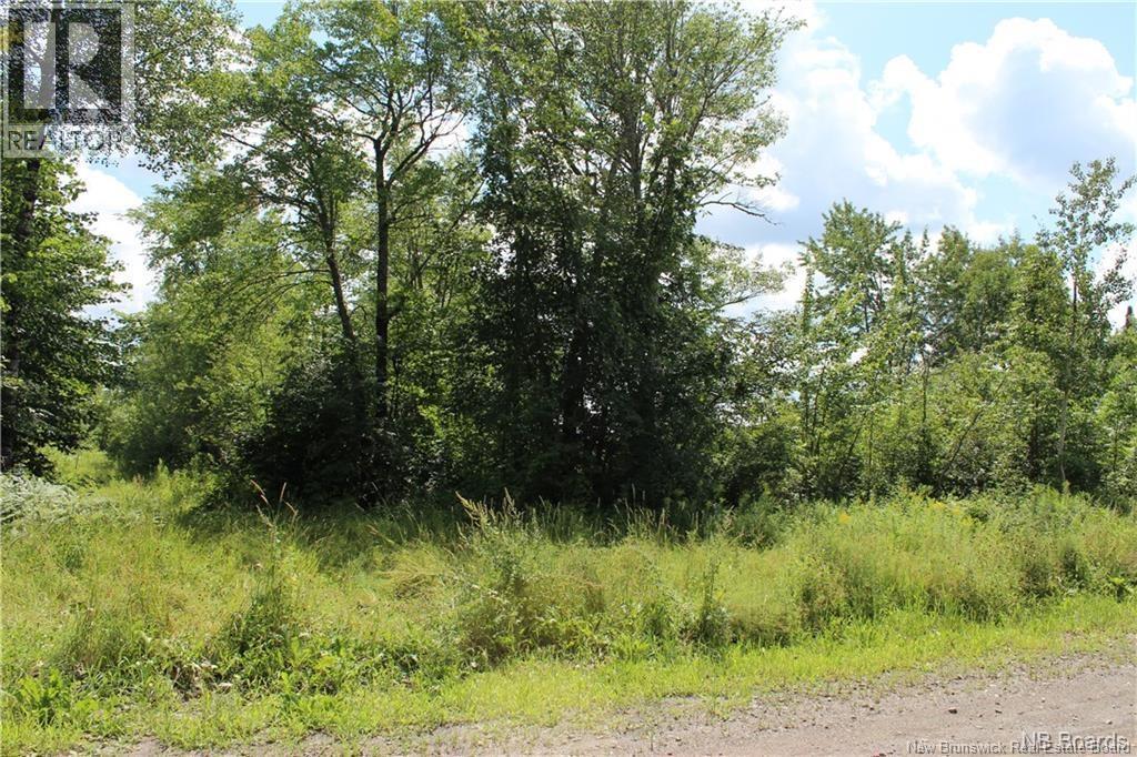 Lot 02-1 Slater Road, Maxwell, New Brunswick  E7N 2Z8 - Photo 18 - NB123026