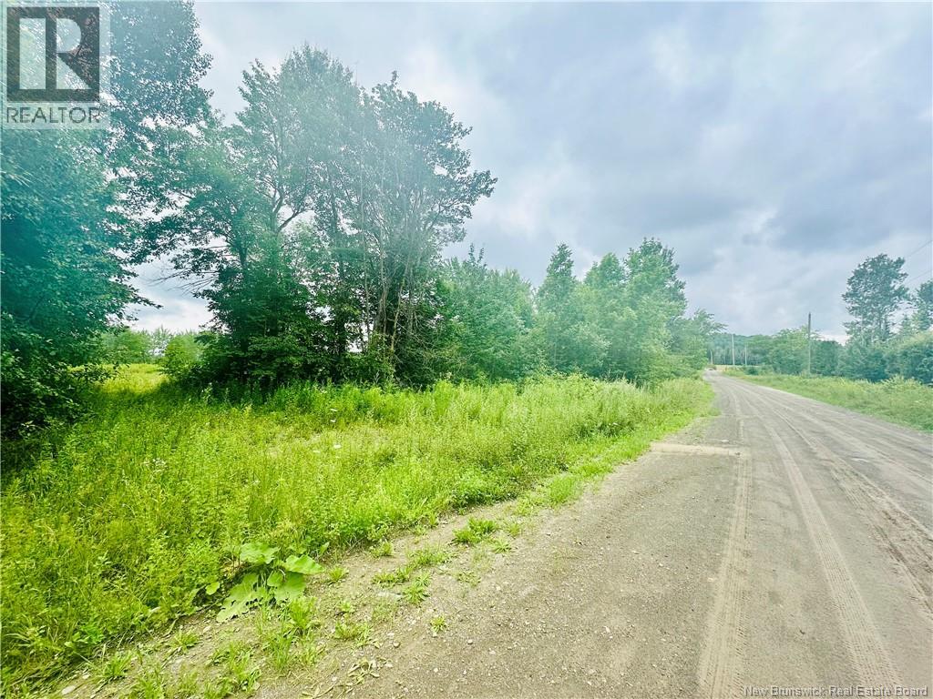 Lot 02-1 Slater Road, Maxwell, New Brunswick  E7N 2Z8 - Photo 20 - NB123026