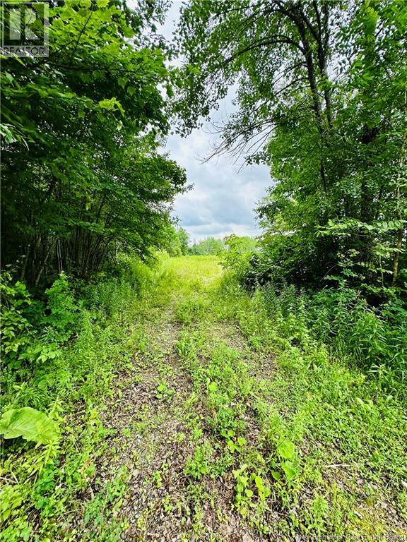 Lot 02-1 Slater Road, Maxwell, New Brunswick  E7N 2Z8 - Photo 21 - NB123026