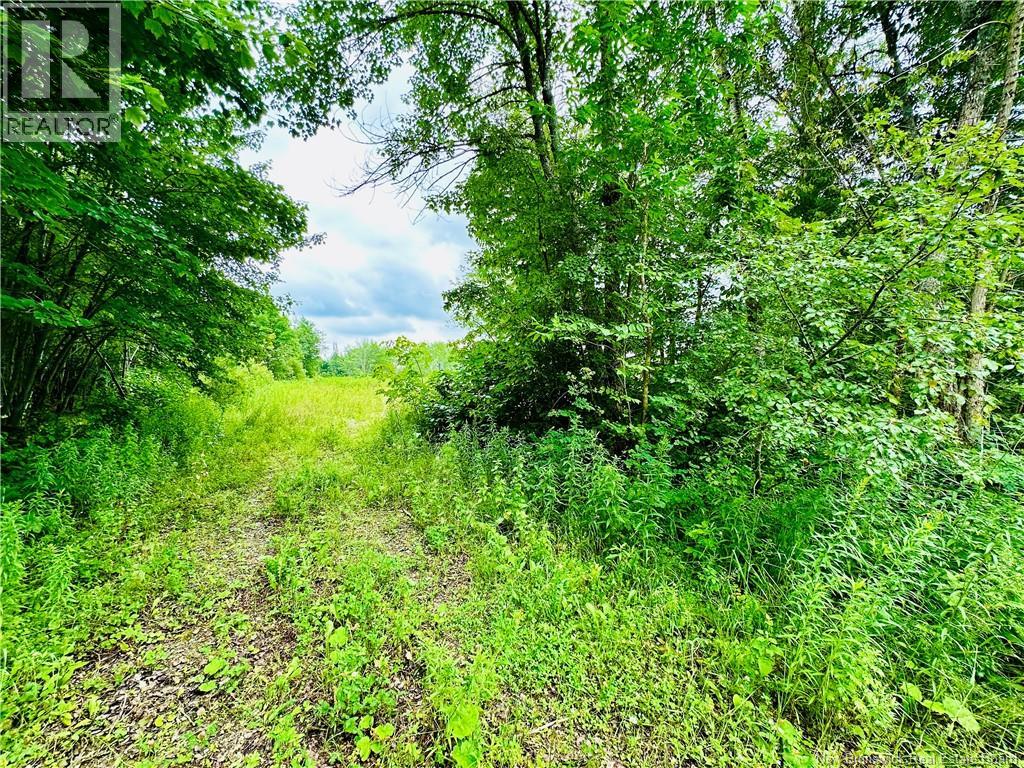 Lot 02-1 Slater Road, Maxwell, New Brunswick  E7N 2Z8 - Photo 23 - NB123026