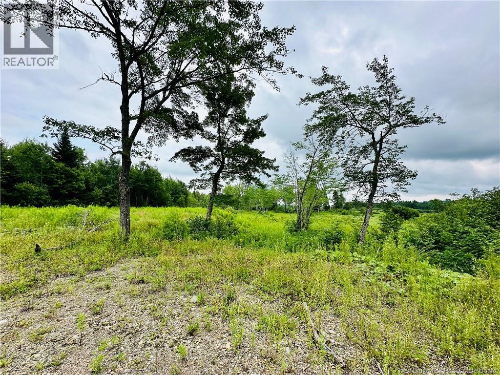 Lot 02-1 Slater Road, Maxwell, New Brunswick  E7N 2Z8 - Photo 29 - NB123026