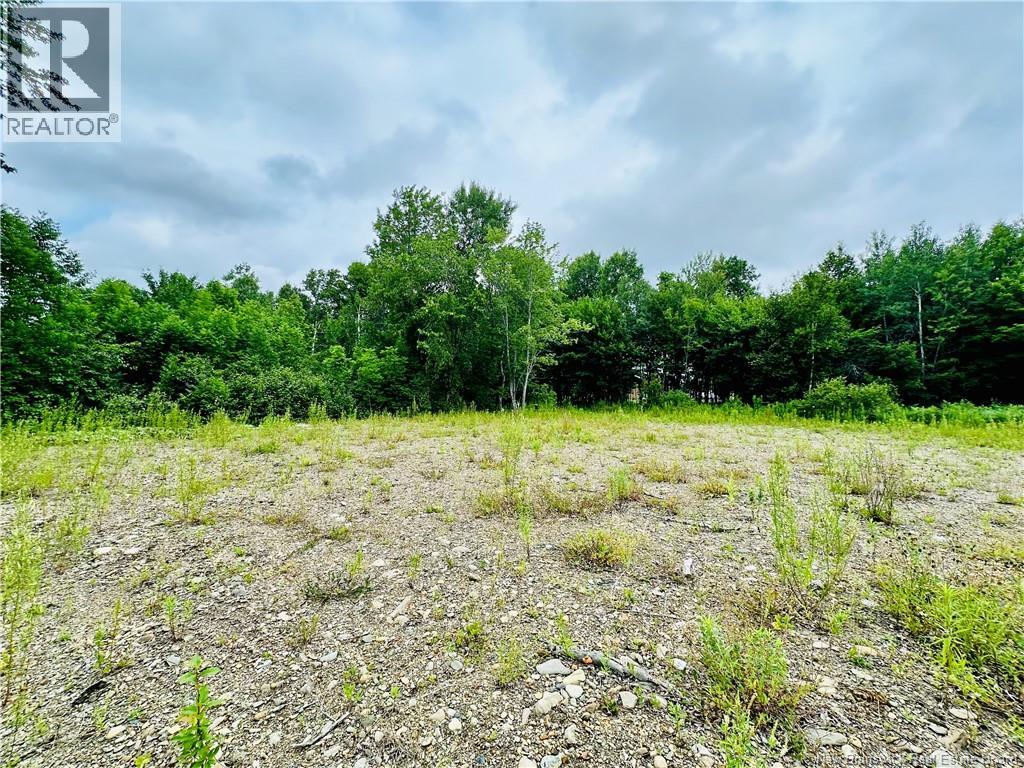Lot 02-1 Slater Road, Maxwell, New Brunswick  E7N 2Z8 - Photo 32 - NB123026